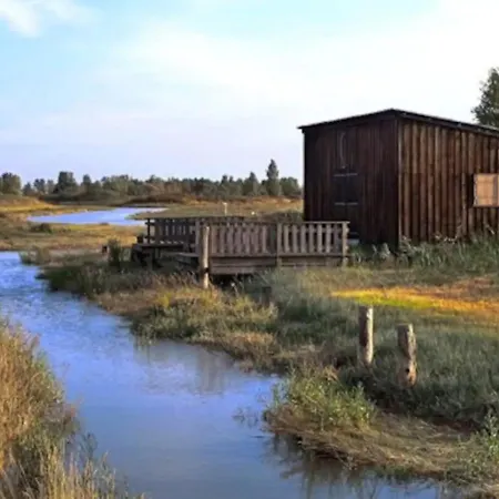 Mimosas Sur * 르-베르동-쉬르-메르