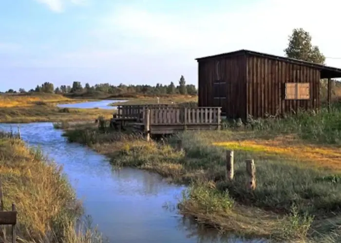 Mimosas Sur * 르-베르동-쉬르-메르